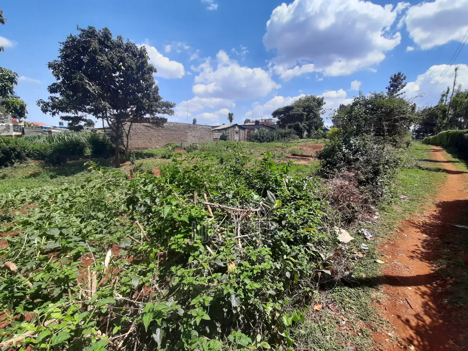 Prime Plot in Gachie
