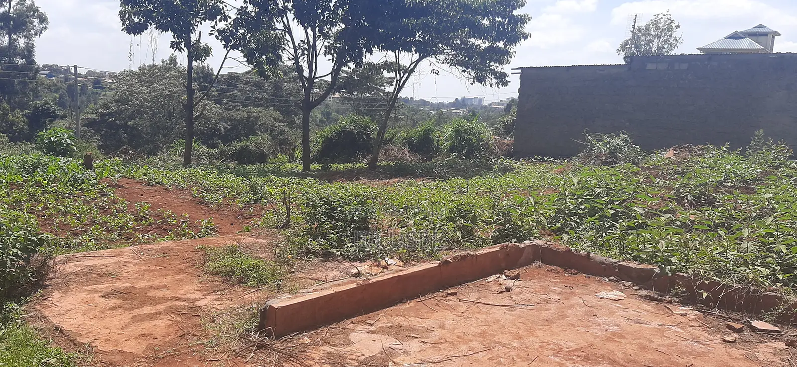 Prime Plot in Gachie