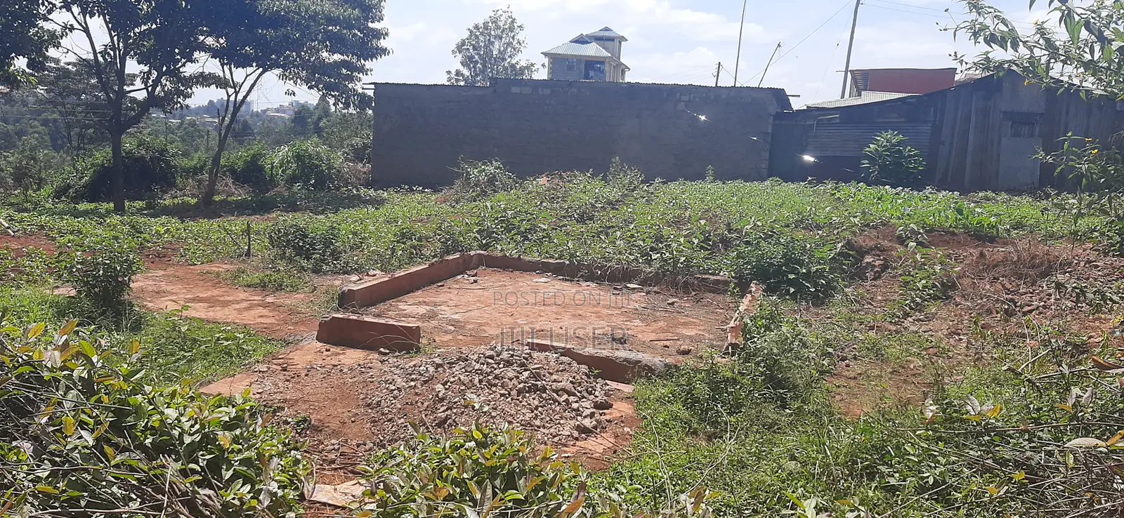Prime Plot in Gachie