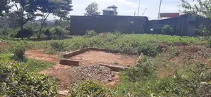 Prime Plot in Gachie
