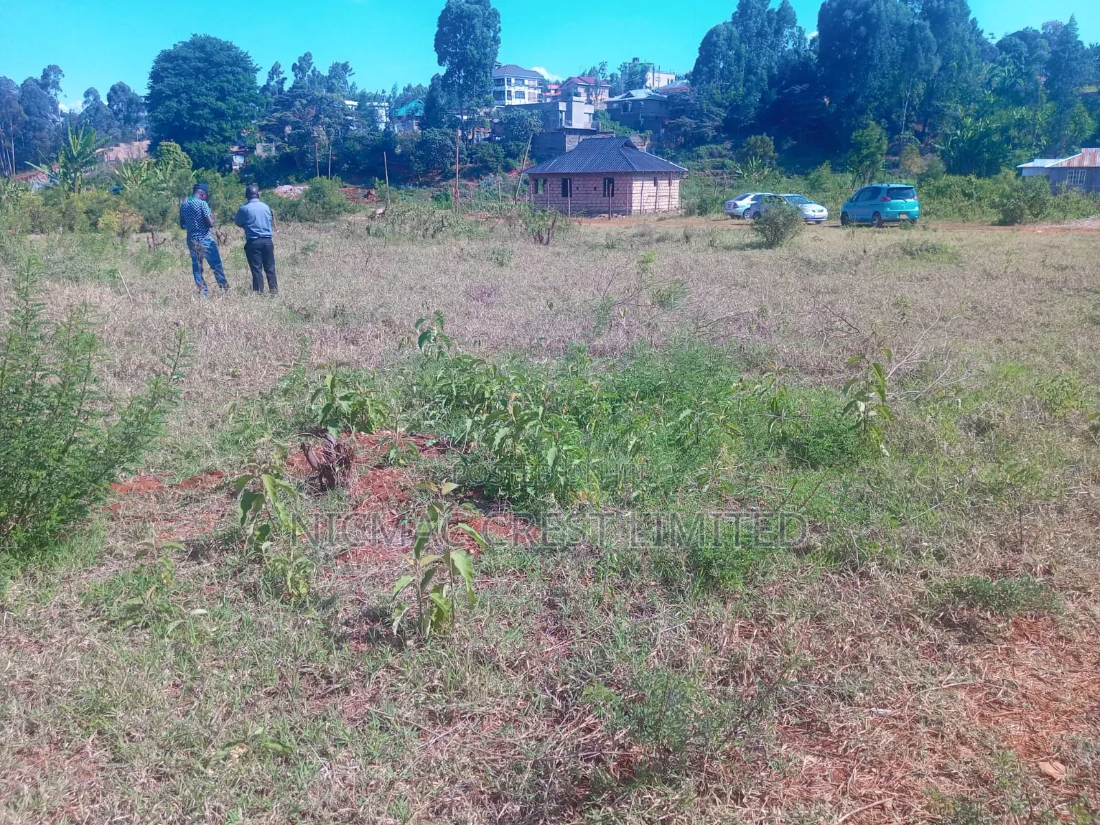 Plot for Sale