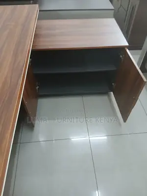 Director’S Executive Desk