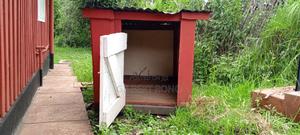 Dog Kennel - main view