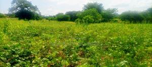 Price Drop - thumbnail 2