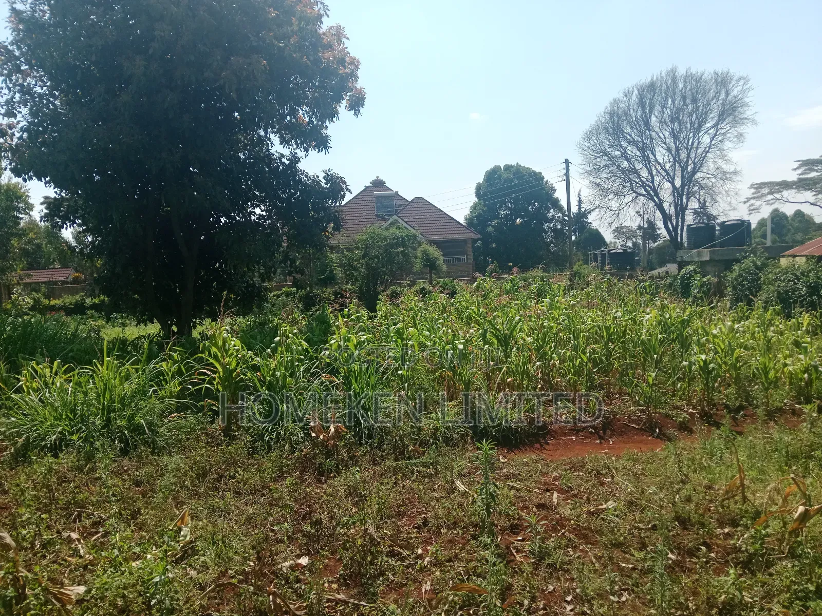 One Acre Land for Sale in Ngecha, Limuru