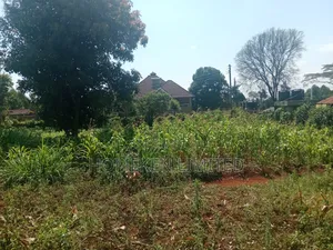 One Acre Land for Sale in Ngecha, Limuru