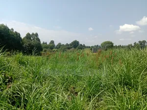 One Acre Land for Sale in Ngecha, Limuru