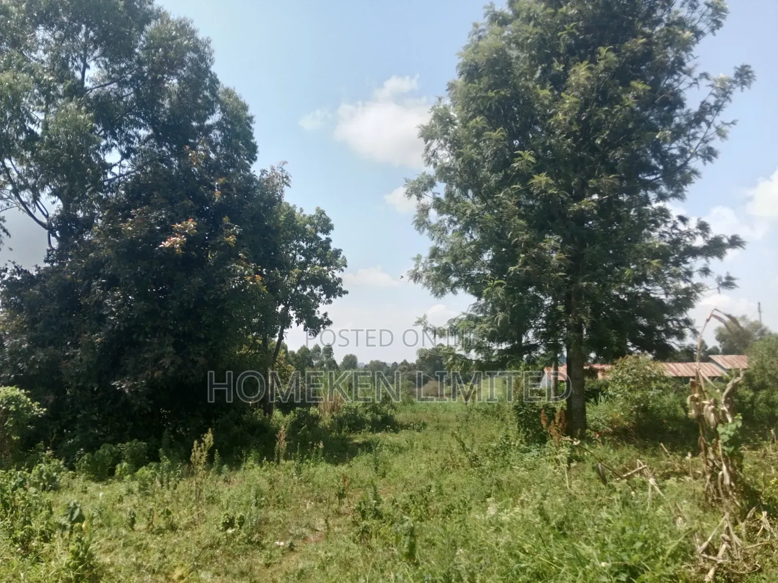 One Acre Land for Sale in Ngecha, Limuru