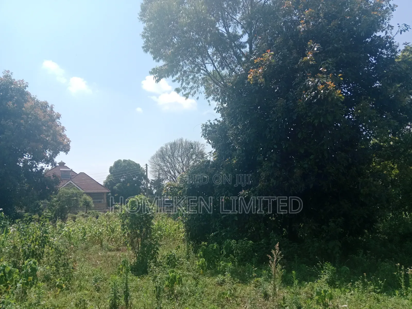One Acre Land for Sale in Ngecha, Limuru