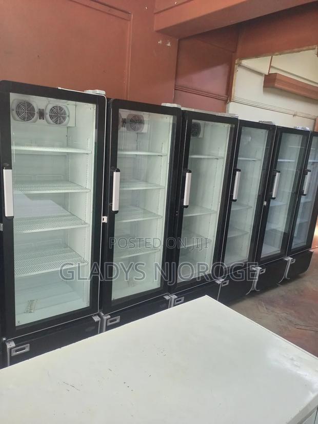 Commercial Chiller at Affordable Price - thumbnail 2
