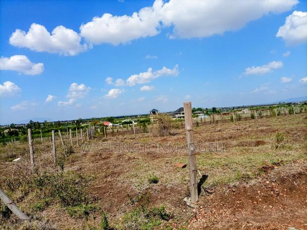 Distress Sale! - main view