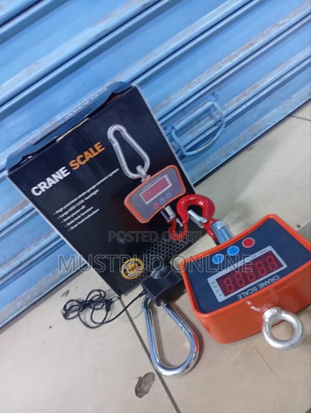 Crane Scale 500kg - main view