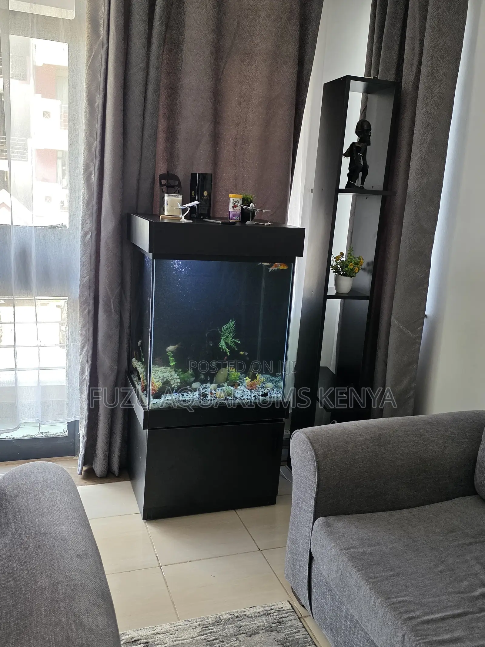 Stunning Goldfish Aquarium – Ready to Enjoy!