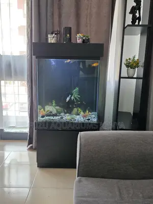 Premium Fish Tank Setup – Fully Equipped!