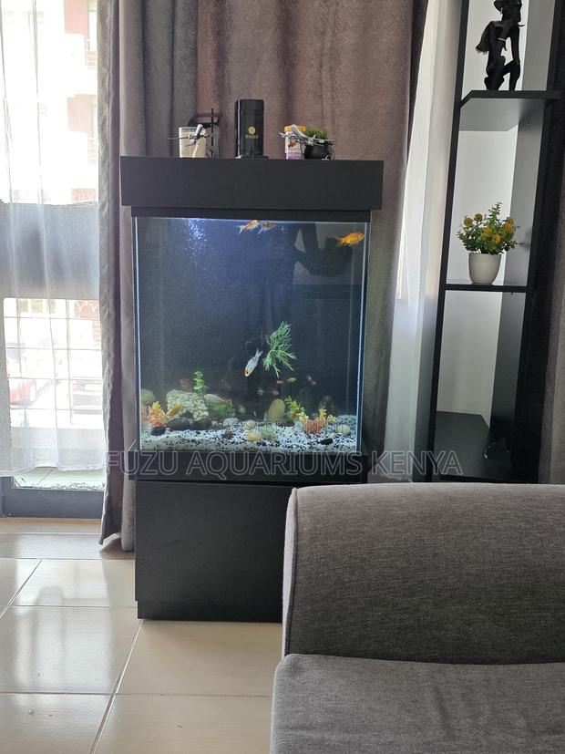 Premium Fish Tank Setup – Fully Equipped! - main view