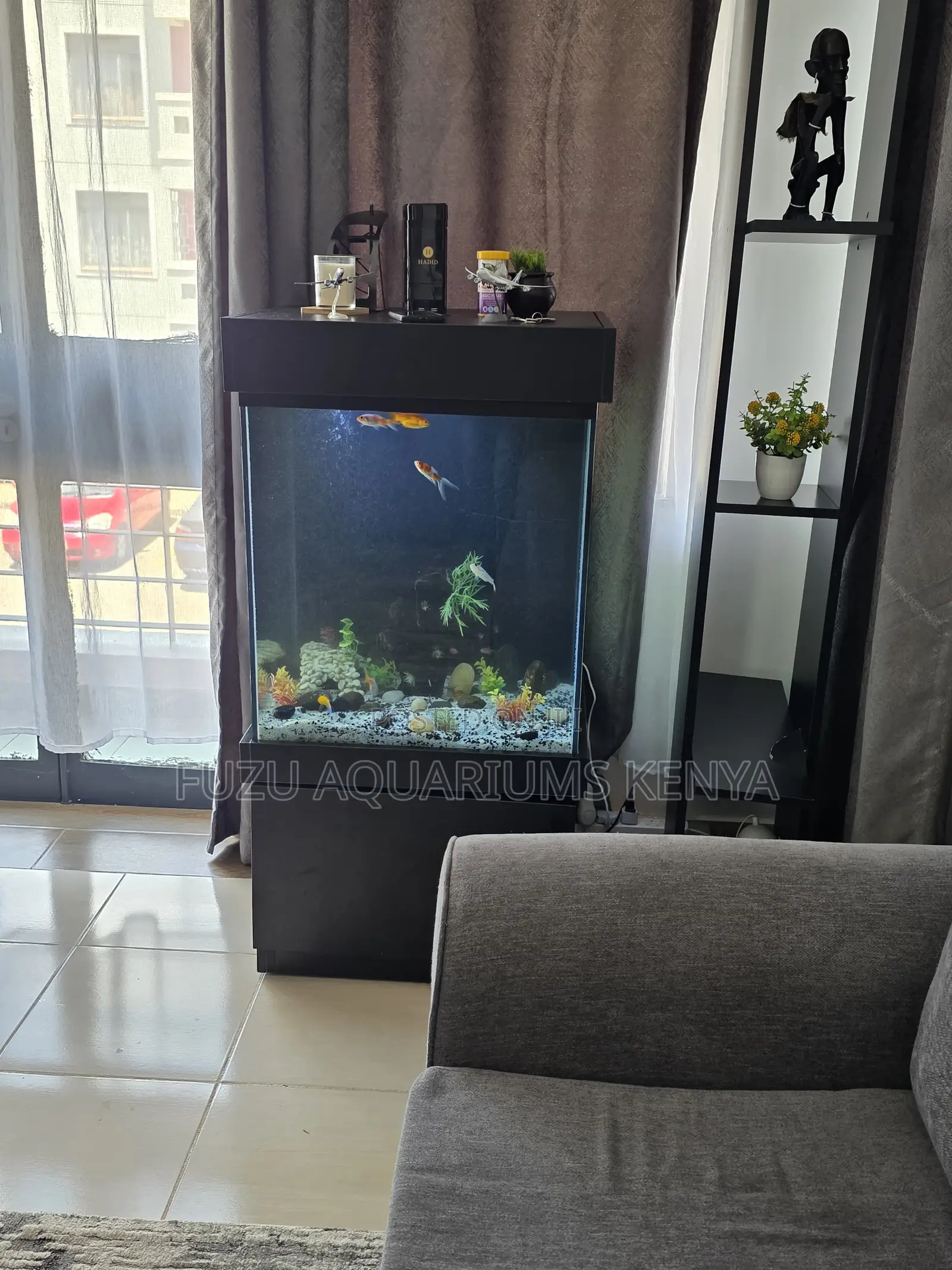 Modern Aquarium With Led Lights Fish Included