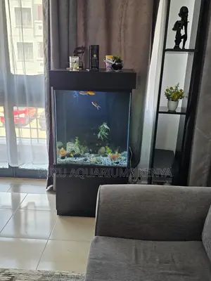 Modern Aquarium With Led Lights Fish Included