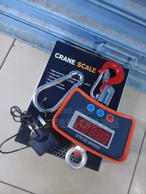 Quality Crane Scale 500kg