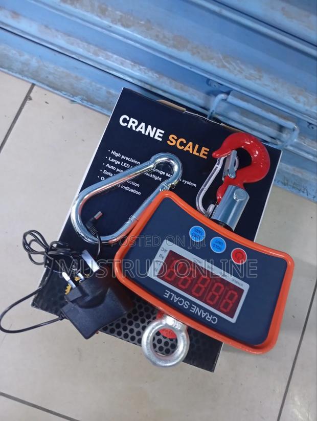 Quality Crane Scale 500kg - main view