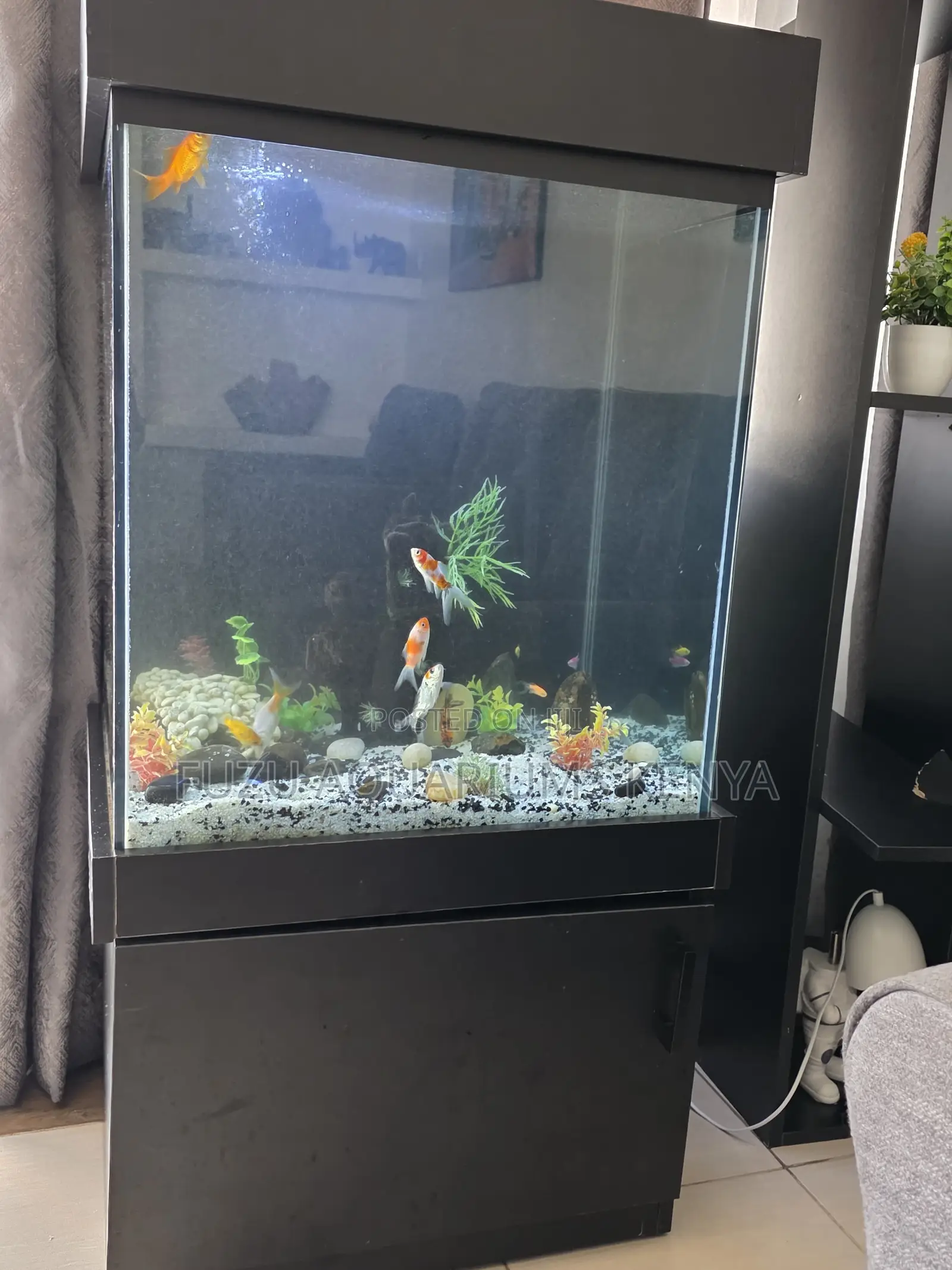 Stylish Home Aquarium – Plug, Play Relax