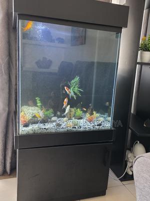 Stylish Home Aquarium – Plug, Play Relax - thumbnail 2