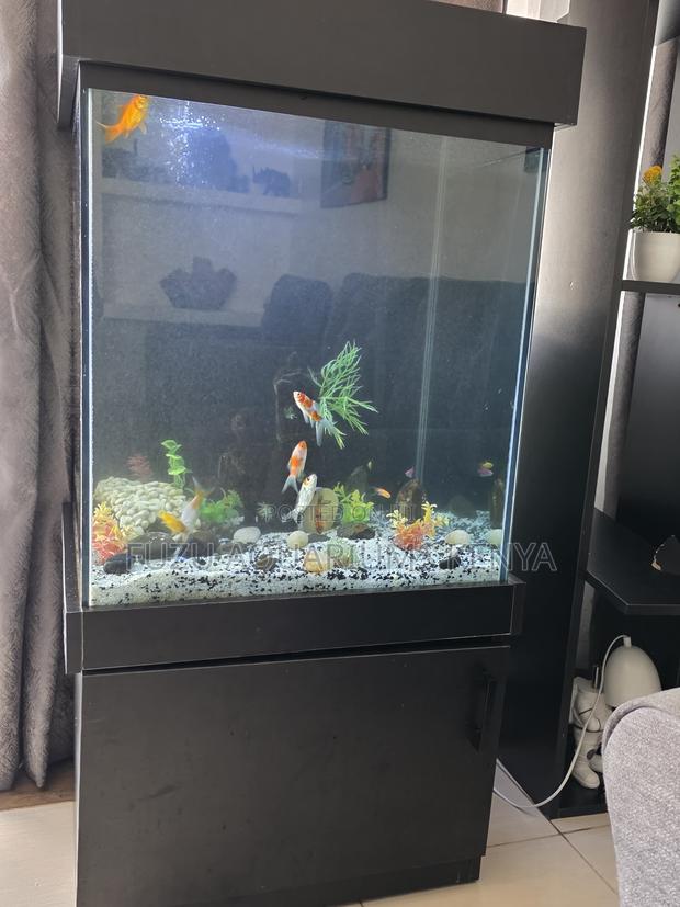 Stylish Home Aquarium – Plug, Play Relax - main view