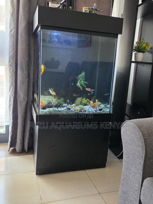 Complete Aquarium Starter Kit – Delivered to You! - thumbnail 2