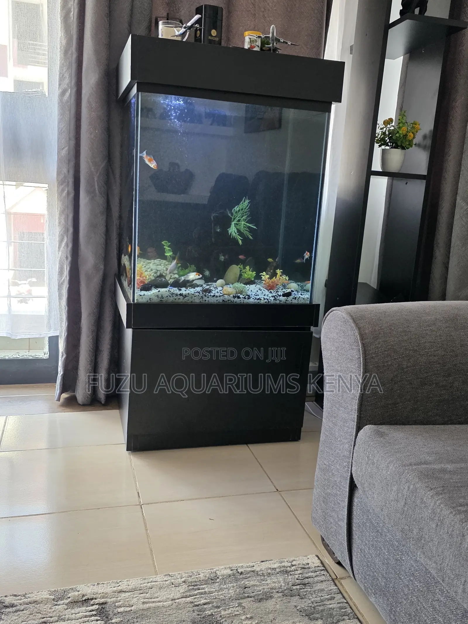 Turn Your Living Room Into an Underwater Aquarium Paradise