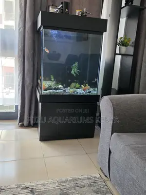 Turn Your Living Room Into an Underwater Aquarium Paradise