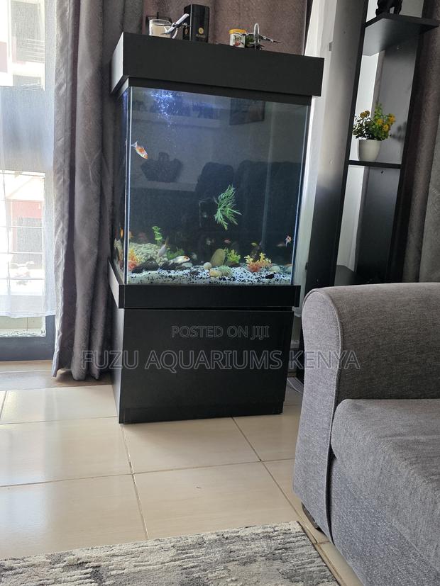 Turn Your Living Room Into an Underwater Aquarium Paradise