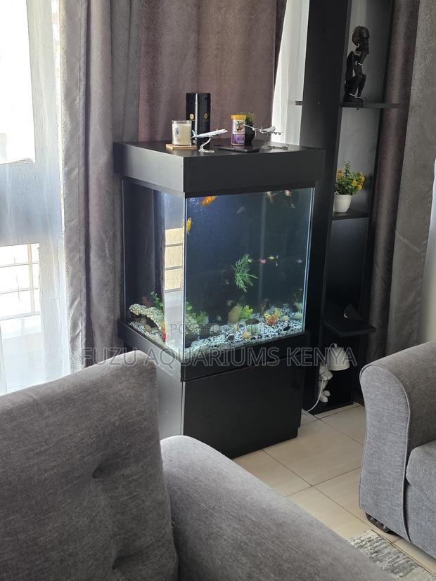 Elegant Aquarium Set With Live Fish – No Hassle!