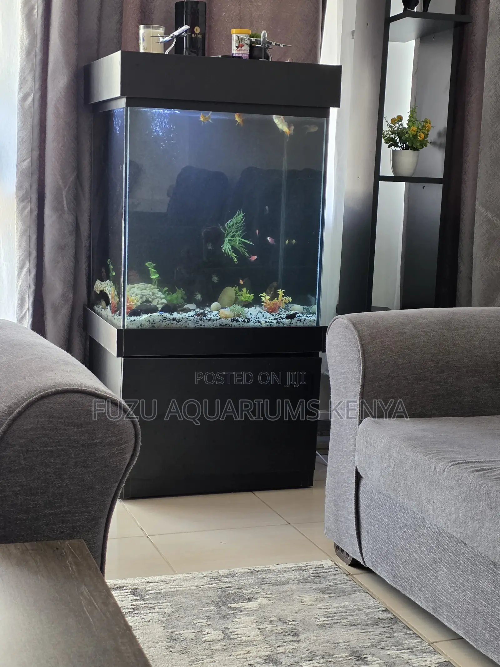 Aquarium Package Deal – Fish, Lights, Filter More!