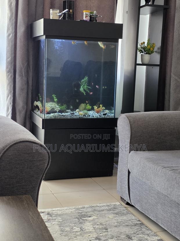 Aquarium Package Deal – Fish, Lights, Filter More!