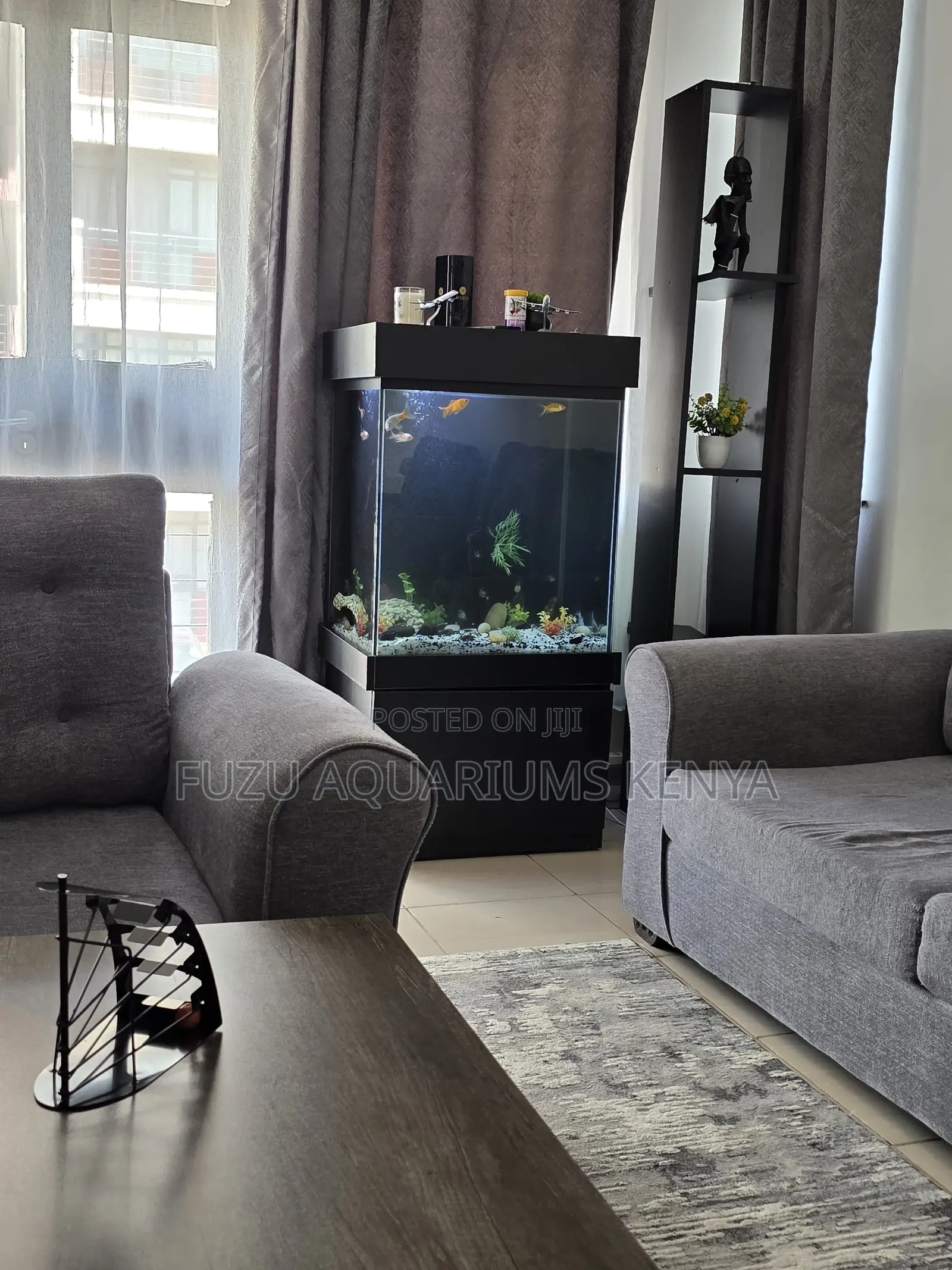 Freshwater Aquarium Bundle – Decor + Fish Included