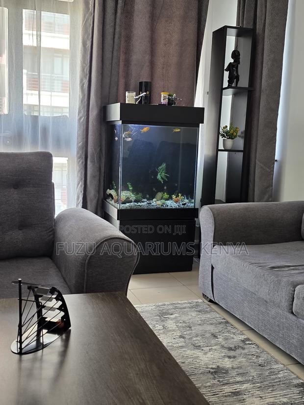 Freshwater Aquarium Bundle – Decor + Fish Included - main view