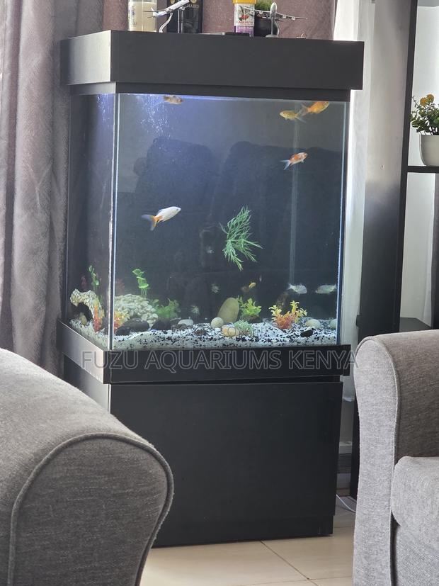 Modern Black Aquarium Stand Tank Combo - main view