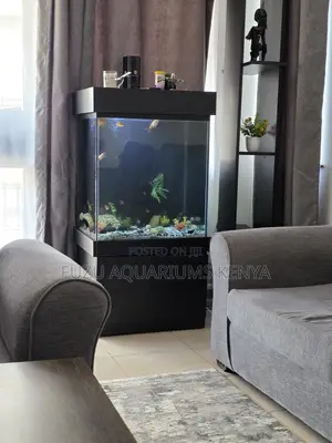 Beautiful Home Aquarium Tank With Led Lighting