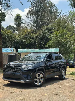 Toyota RAV4 XLE Premium AWD 2019 Black
