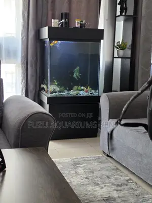 Fully Stocked Aquarium – Instant Tranquility