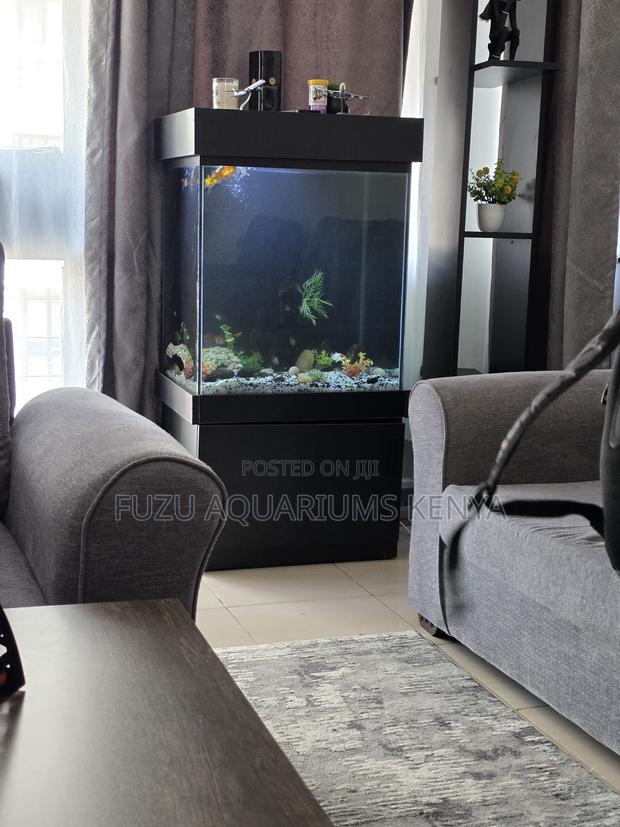 Fully Stocked Aquarium – Instant Tranquility - main view