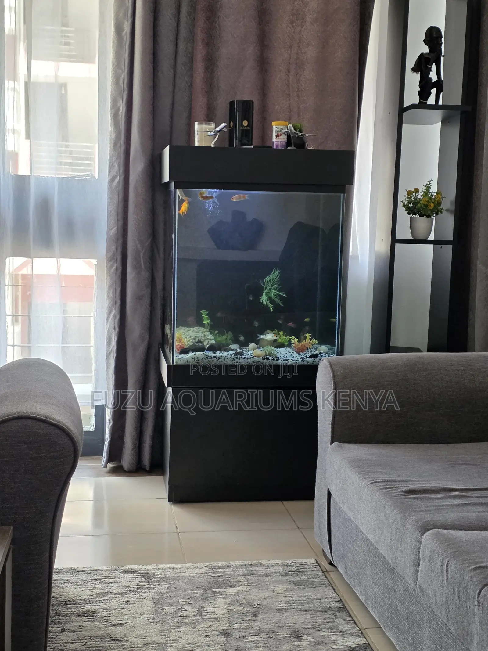 Designer Aquarium Set – Comes With Everything!