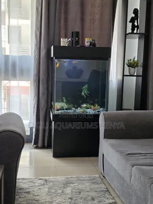 Designer Aquarium Set – Comes With Everything!