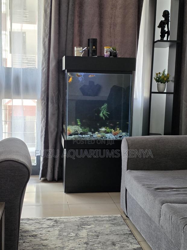 Designer Aquarium Set – Comes With Everything! - main view