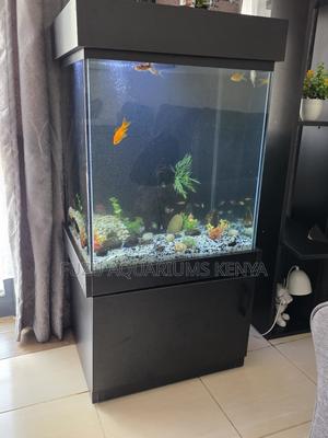 Complete Aquarium Kit – Just Add Water! - thumbnail 2