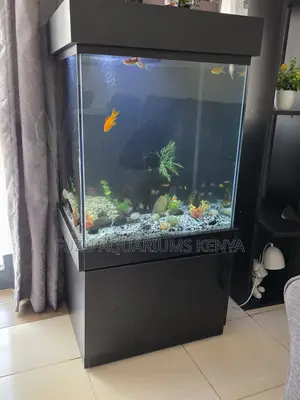 Complete Aquarium Kit – Just Add Water!