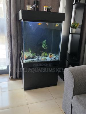 Low-Maintenance Aquarium With Built-in Filtration - thumbnail 2
