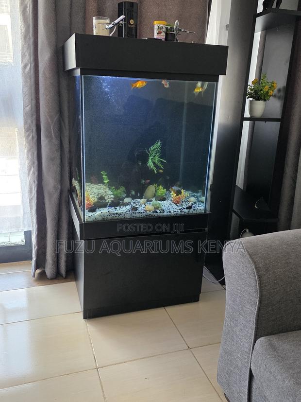 Low-Maintenance Aquarium With Built-in Filtration - main view