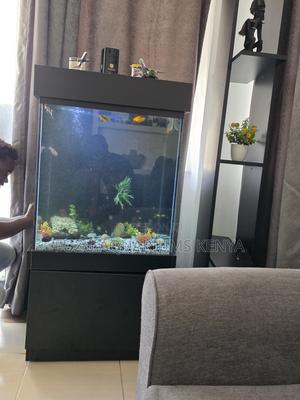 Perfect Gift Idea: Fully Equipped Aquarium - thumbnail 2