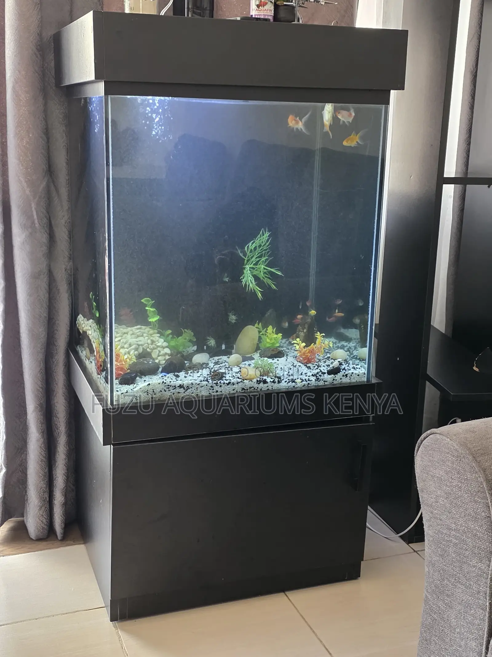 High-End Aquarium Setup With 10 Live Fish