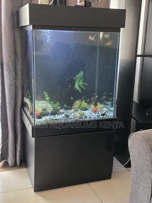 High-End Aquarium Setup With 10 Live Fish - thumbnail 2